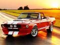 Jeu Fancy Mustang Differences