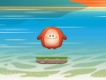 Jeu Choly Waterhop