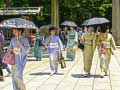 Jeu 100 Butterflies in Japan