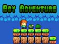 Jeu Boy Adventure