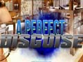 Jeu A Perfect Disguise