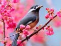 Jeu Lovable Birds