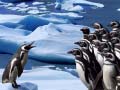 Jeu Penguins Slide
