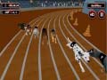 Jeu Crazyl Dog Racing Fever