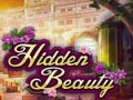Jeu Hidden Beauty