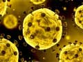 Jeu Coronavirus Slide