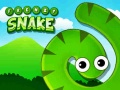Jeu Frenzy Snake