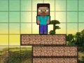 Jeu Minecraft Survival Chapter 2