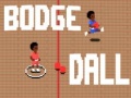 Jeu Bodge Dall