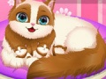 Jeu Cute Kitty Pregnant