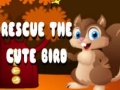 Jeu Rescue The Cute Bird