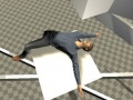 Jeu Ragdoll Test