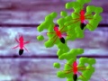 Jeu Smash Ants