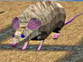 Jeu Mouse Race Islands