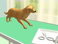 Jeu Paw Care