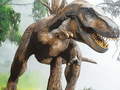 Jeu Tyrannosaurus Rex Carnivore Jigsaw