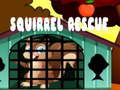 Jeu Squirrel Rescue