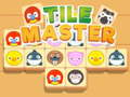 Jeu Tile Master Match