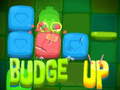 Jeu Budge Up