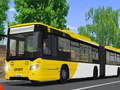 Jeu Public Transport Simulator 2021