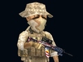 Jeu Rush Team