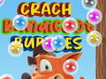 Jeu Crash Bandicoot Bubbles 