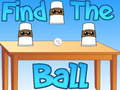 Jeu Find The Ball