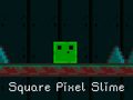 Jeu Square Pixel Slime