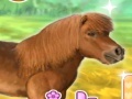 Jeu My Dear Pony