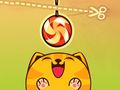 Jeu Cut For Cat