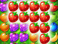 Jeu Fantasy Forest