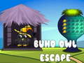 Jeu Buho Owl Escape