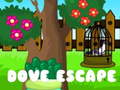 Jeu Dove Escape