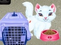 Jeu Baby Taylor Pet Care