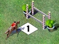 Jeu Competition jump