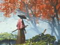 Jeu Samurai Reflexion