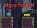 Jeu Steve Forest