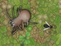 Jeu Antwar.io