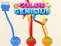 Jeu Color Genious