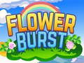 Jeu Flower Burst