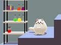 Jeu Schrödinger’s Dual Cat