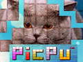 Jeu PicPu Cat 