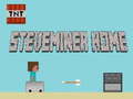 Jeu Steveminer Home