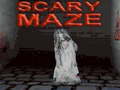 Jeu Scary Maze 3D