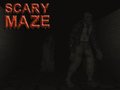 Jeu Scary Maze