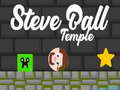 Jeu Steve Ball Temple