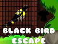 Jeu Black Bird Escape