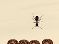 Jeu Smash All Ants
