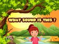 Jeu What Sound Is This?