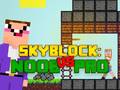 Jeu Noob vs Pro Skyblock